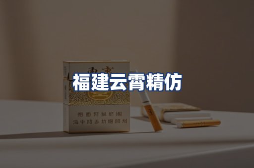 福建云霄精仿
